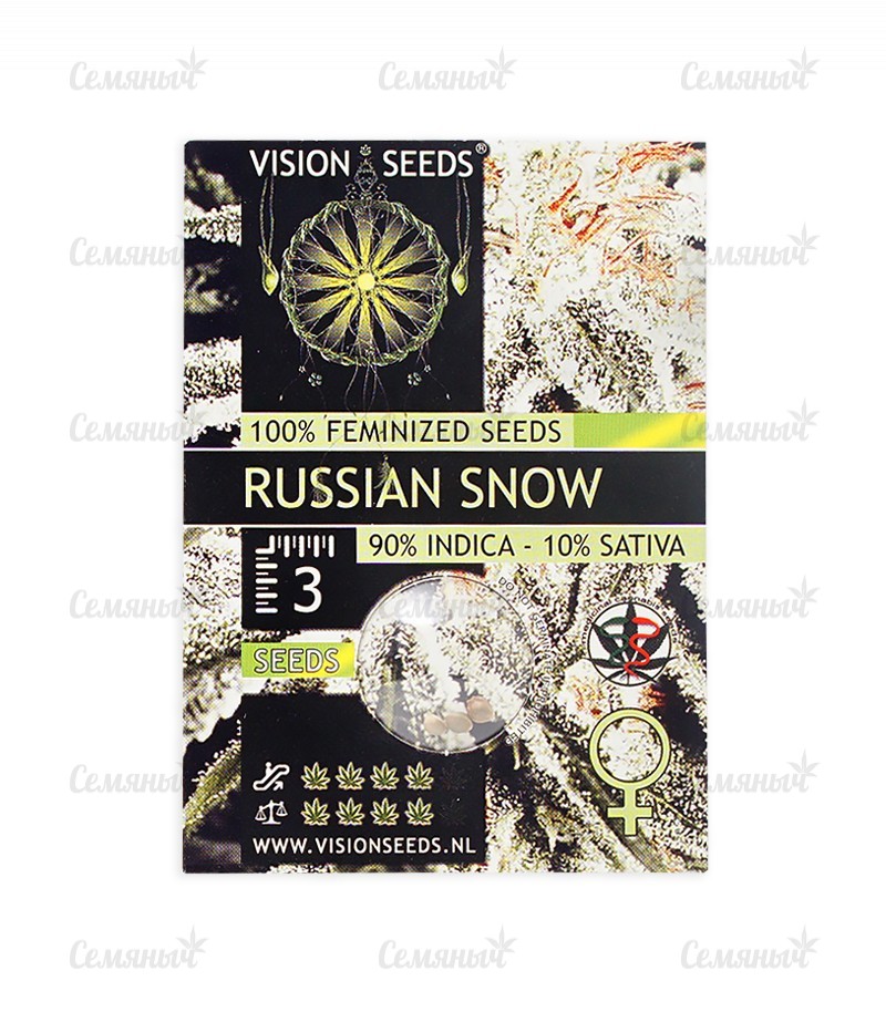 Семена сорта   Russian Snow fem (Vision Seeds) 