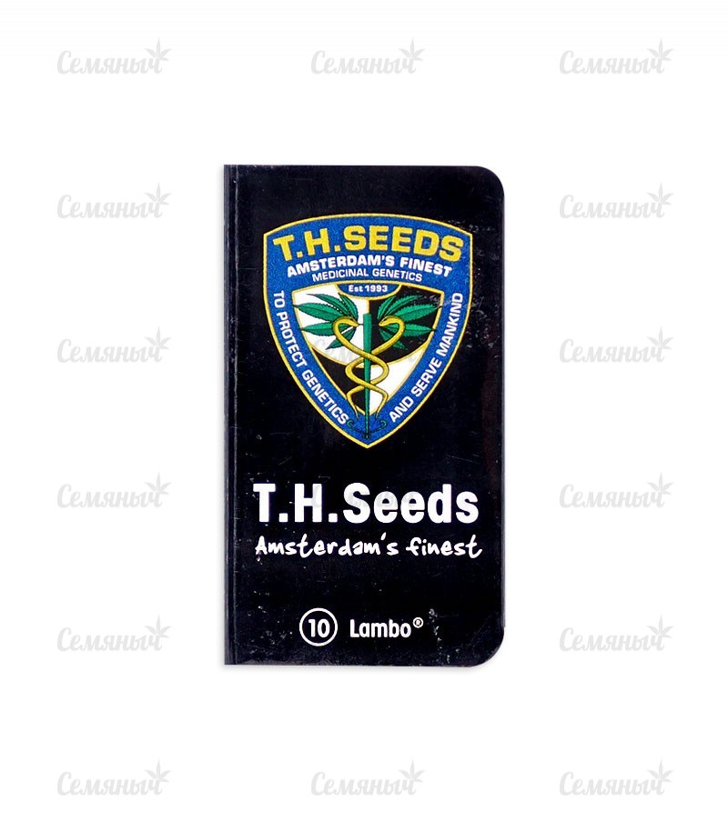 Семена сорта   Lambo regular (TH Seeds) 