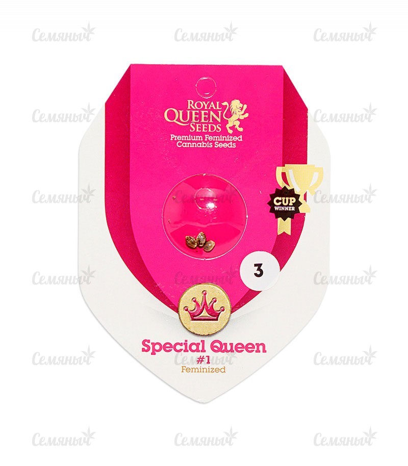 Семена сорта   Special Queen 1 fem (RQS) 