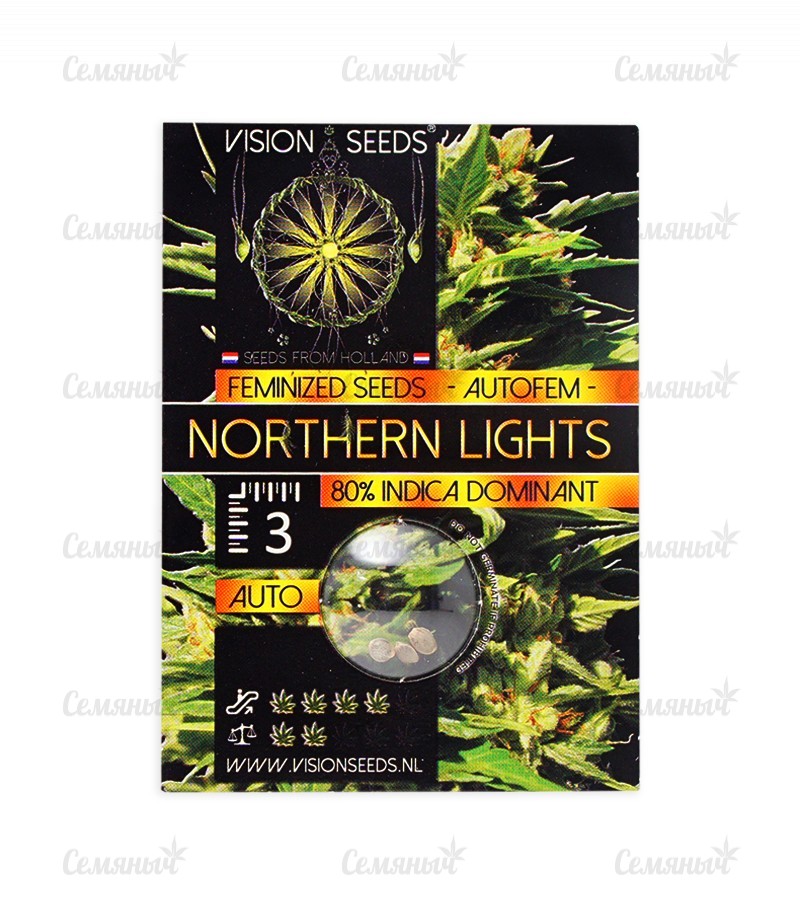 Семена сорта   Northern Lights Auto fem (Vision Seeds) 