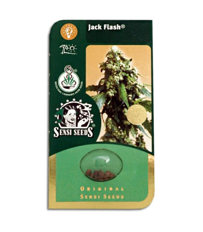 Семена сорта   Jack Flash regular (Sensi Seeds) 