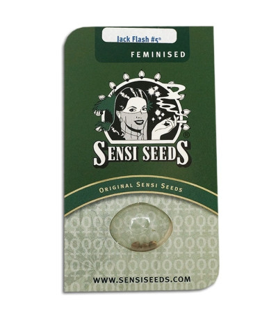 Семена сорта   Jack Flash #5 fem (Sensi Seeds) 